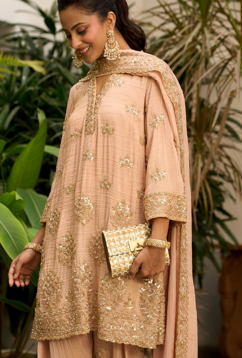 Light Pink Bell Sleeve Nadira Farshi Salwar Set