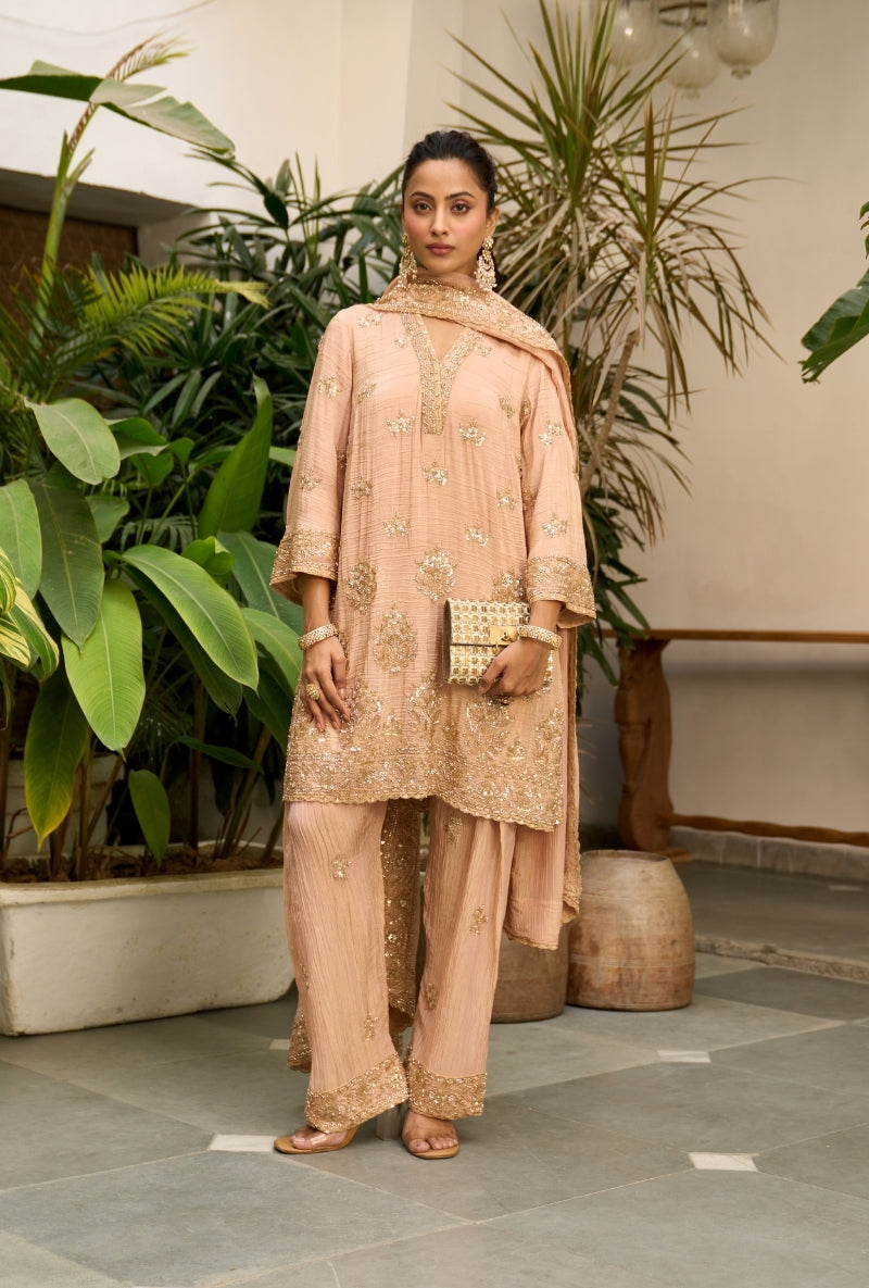 Light Pink Bell Sleeve Nadira Farshi Salwar Set