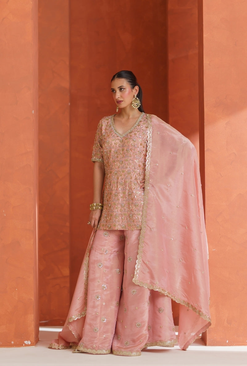 Light Pink All Over Zari &amp; Sequin Work Vira Sharara Set