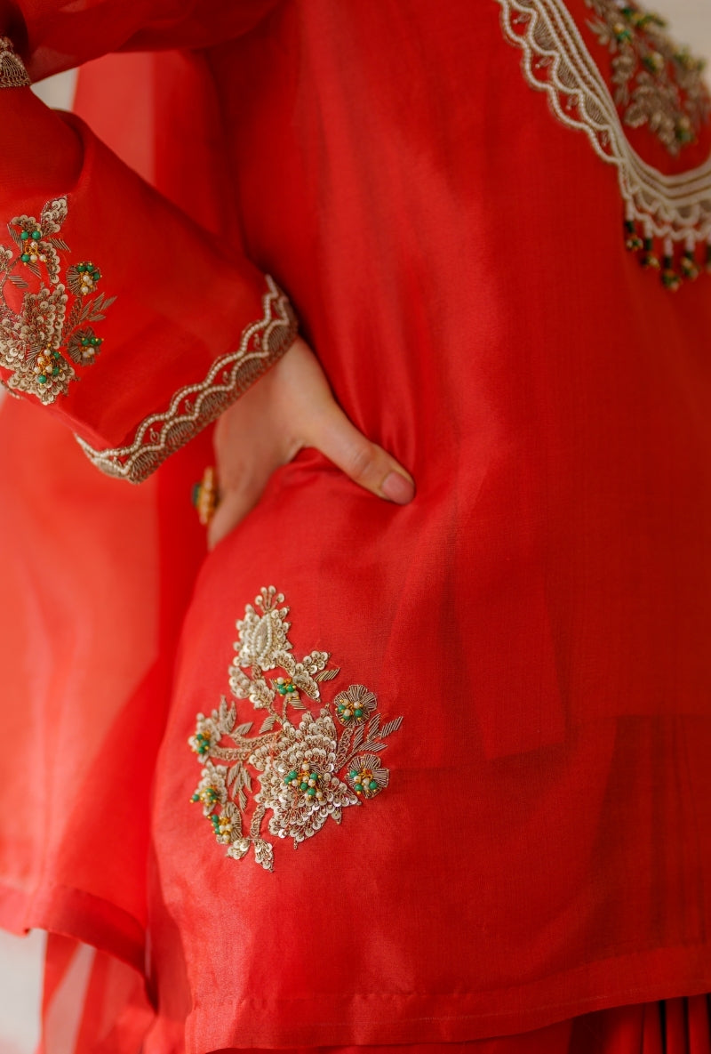 Rust Dabka Long Yoke Mallika Drape Skirt Set