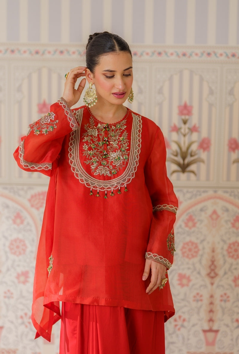 Rust Dabka Long Yoke Mallika Drape Skirt Set