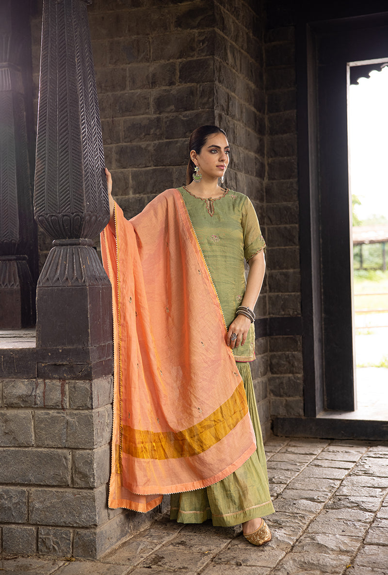 Pista Green Elephant Motif Surmayi Sharara Set