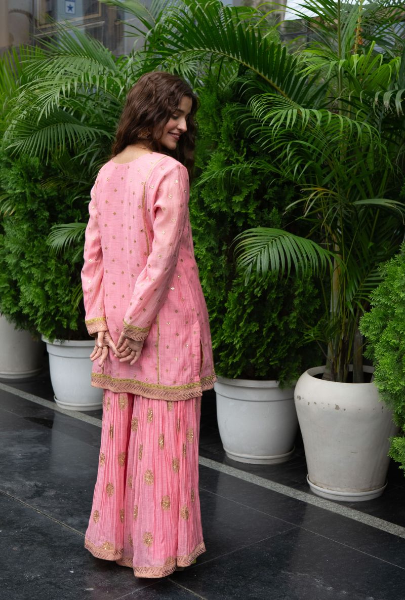 Varsha Rana in Pink Embroidered Yoke Gharara Set