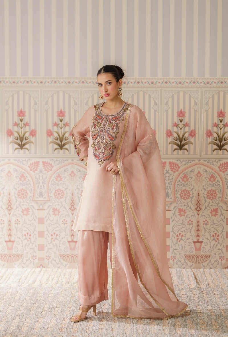 Powder Pink Dabka Long Yoke Mallika Kurta Set