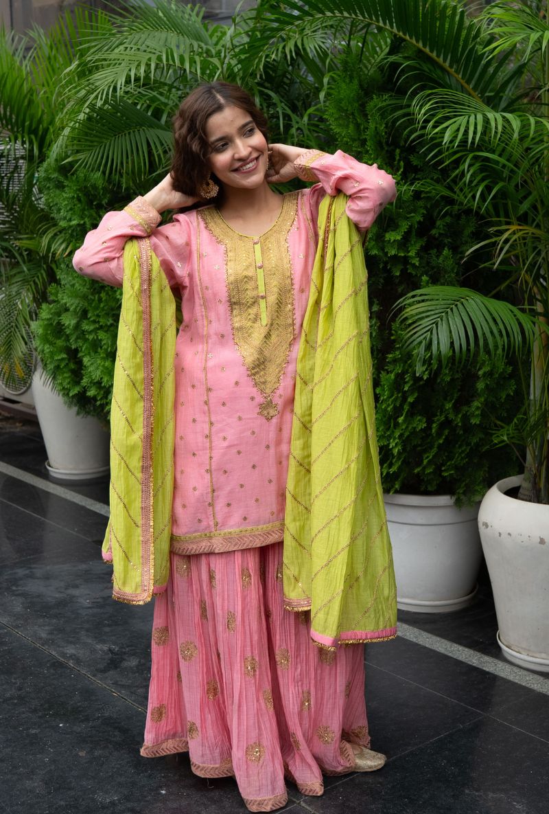 Varsha Rana in Pink Embroidered Yoke Gharara Set