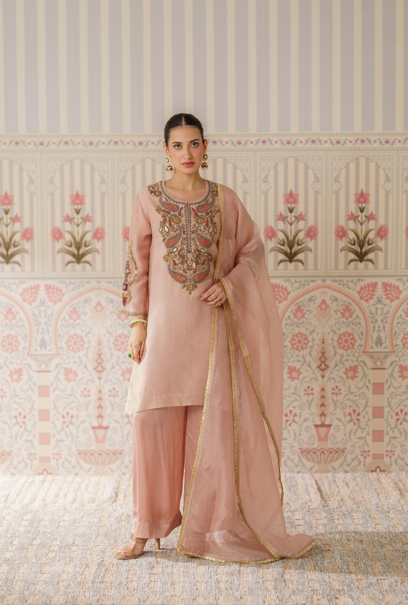 Powder Pink Dabka Long Yoke Mallika Kurta Set
