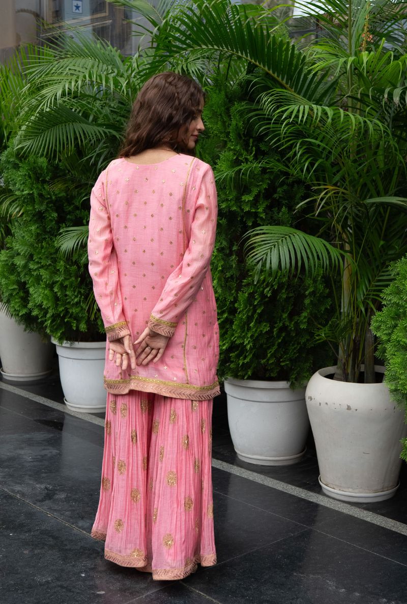 Varsha Rana in Pink Embroidered Yoke Gharara Set