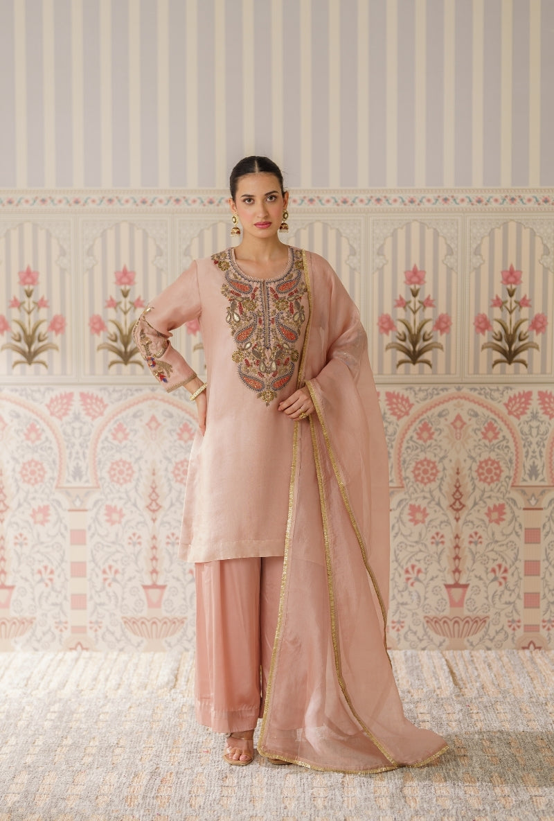 Powder Pink Dabka Long Yoke Mallika Kurta Set