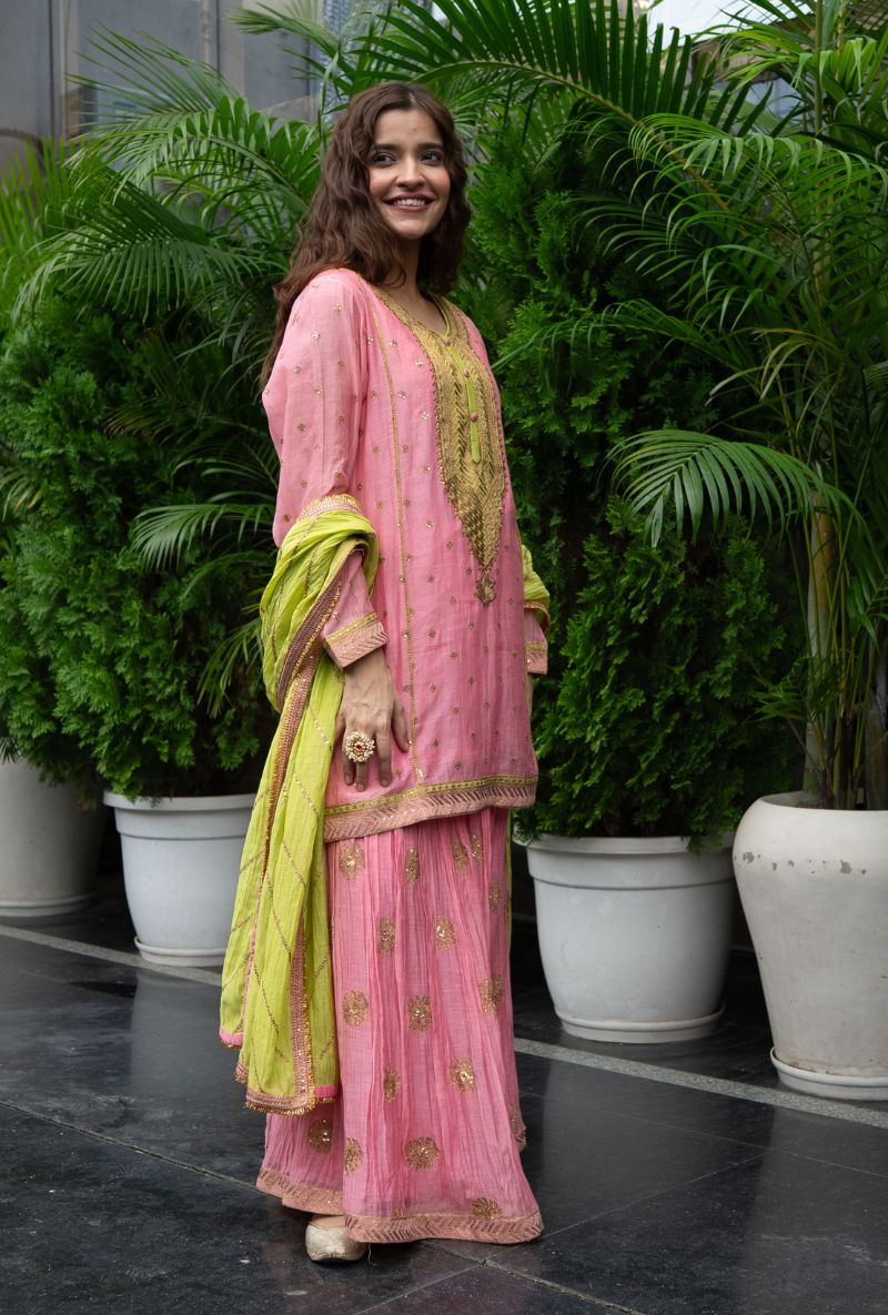 Varsha Rana in Pink Embroidered Yoke Gharara Set