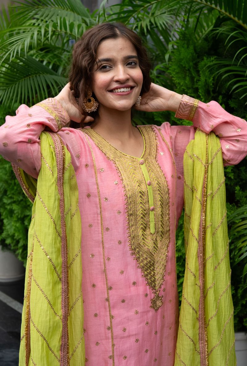 Varsha Rana in Pink Embroidered Yoke Gharara Set
