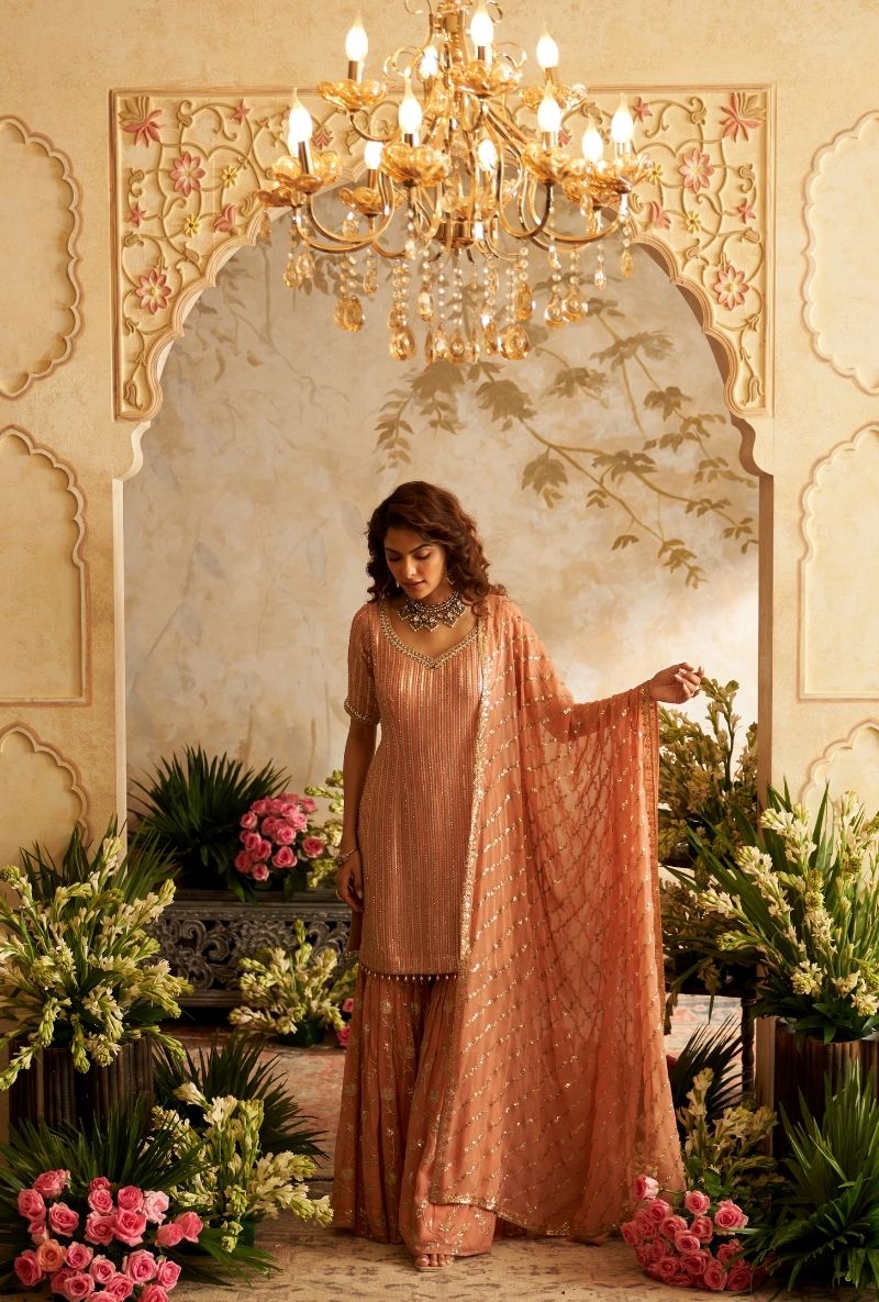 Pink Stripes Sequin Rumi Gharara Set