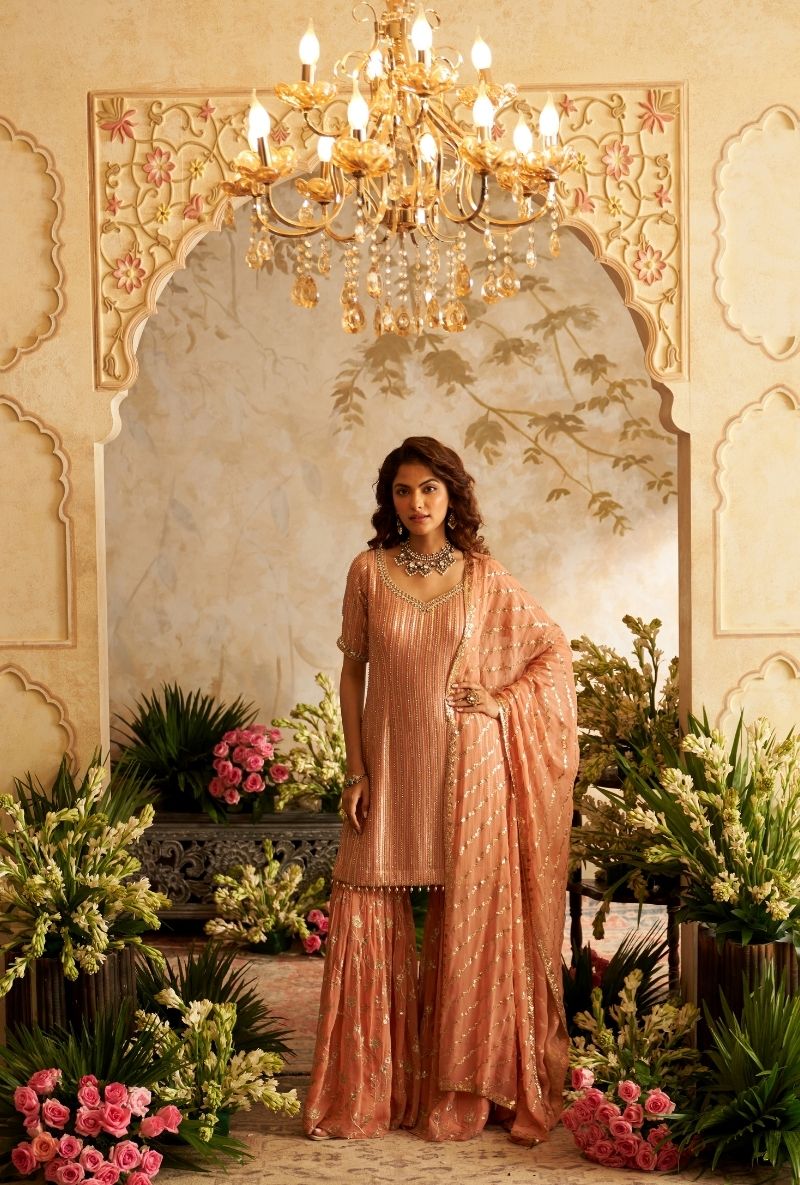 Pink Stripes Sequin Rumi Gharara Set