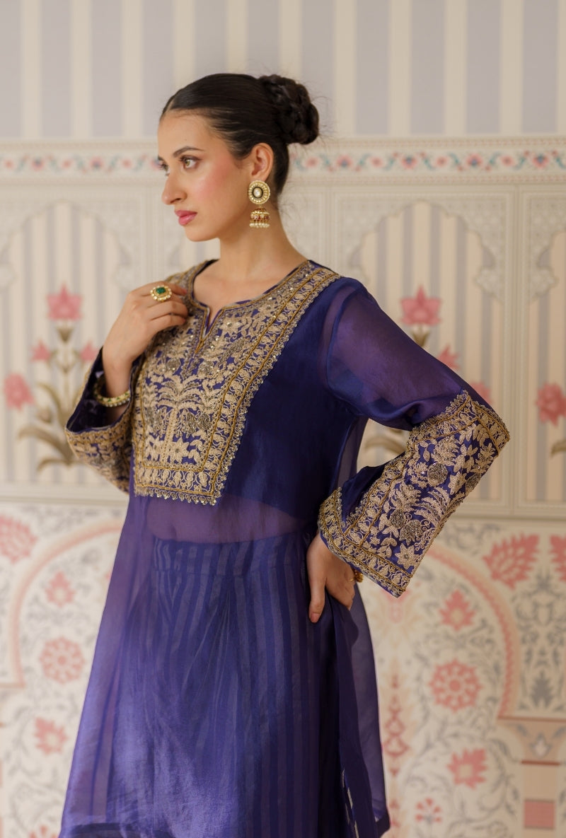 Navy Blue Dori and Sequin Hand Embroidery Mallika Farshi Set