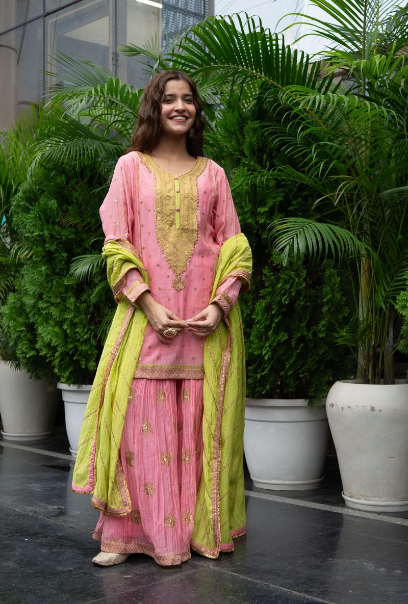 Varsha Rana in Pink Embroidered Yoke Gharara Set