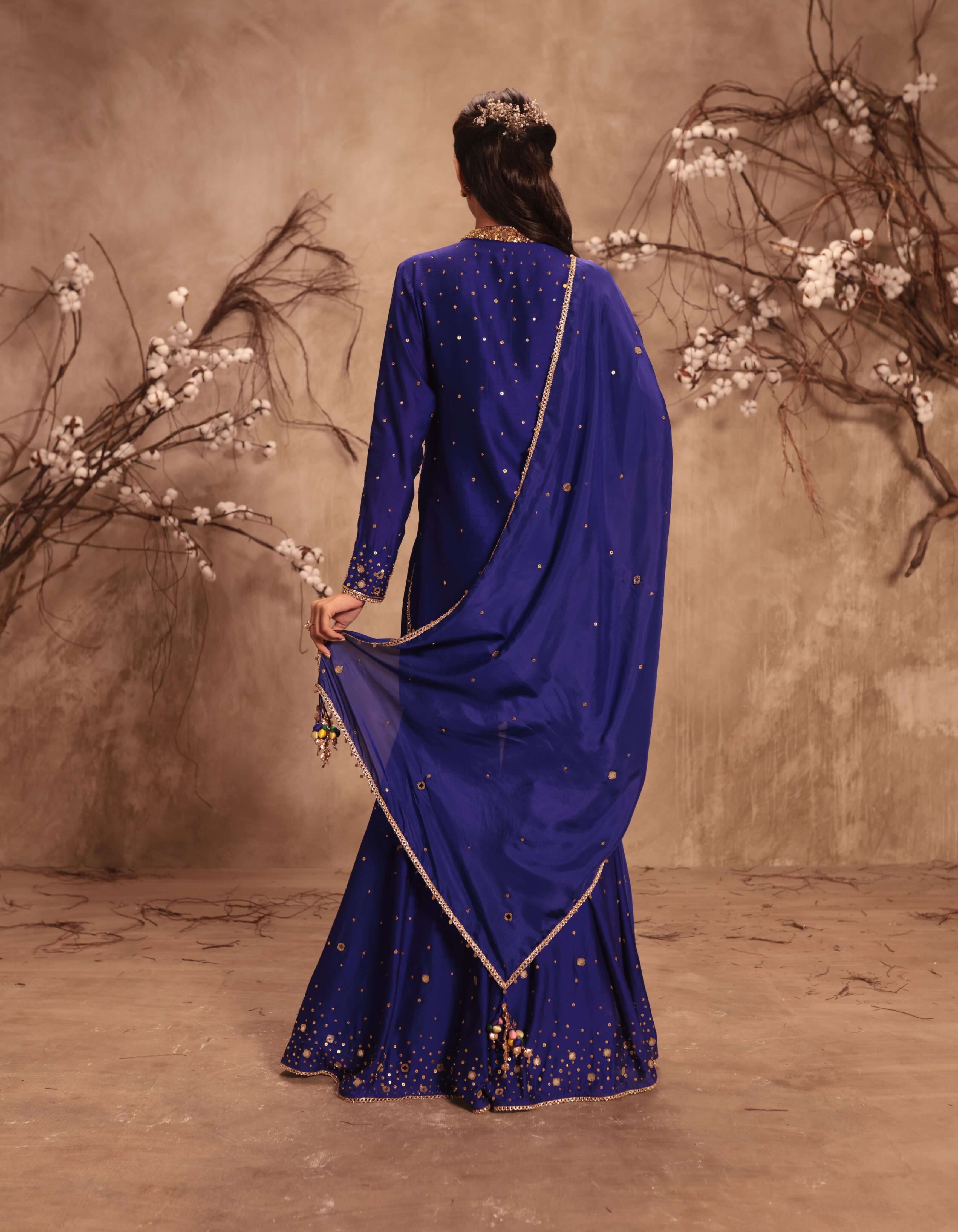 Indigo Heavy Mirror Work Rani Sharara Set