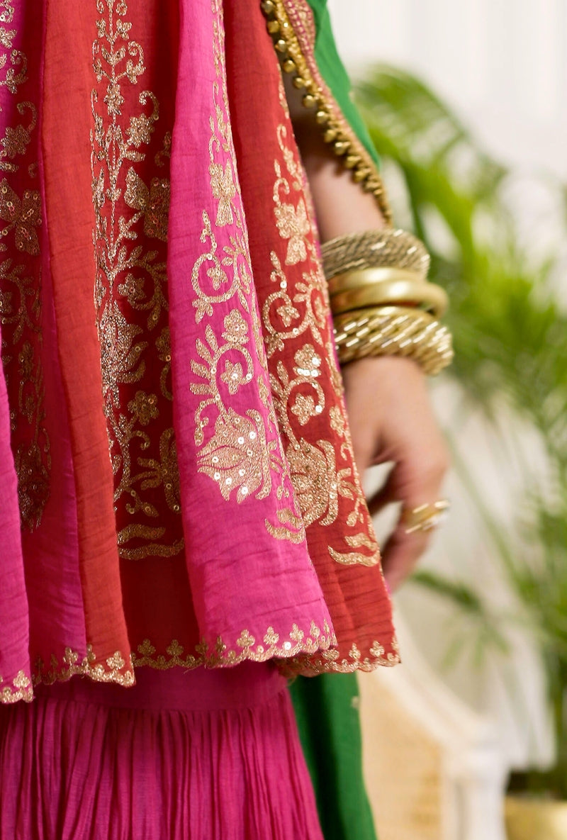 Meghna Nayyar in Red and Pink Kali Kashni Sharara set