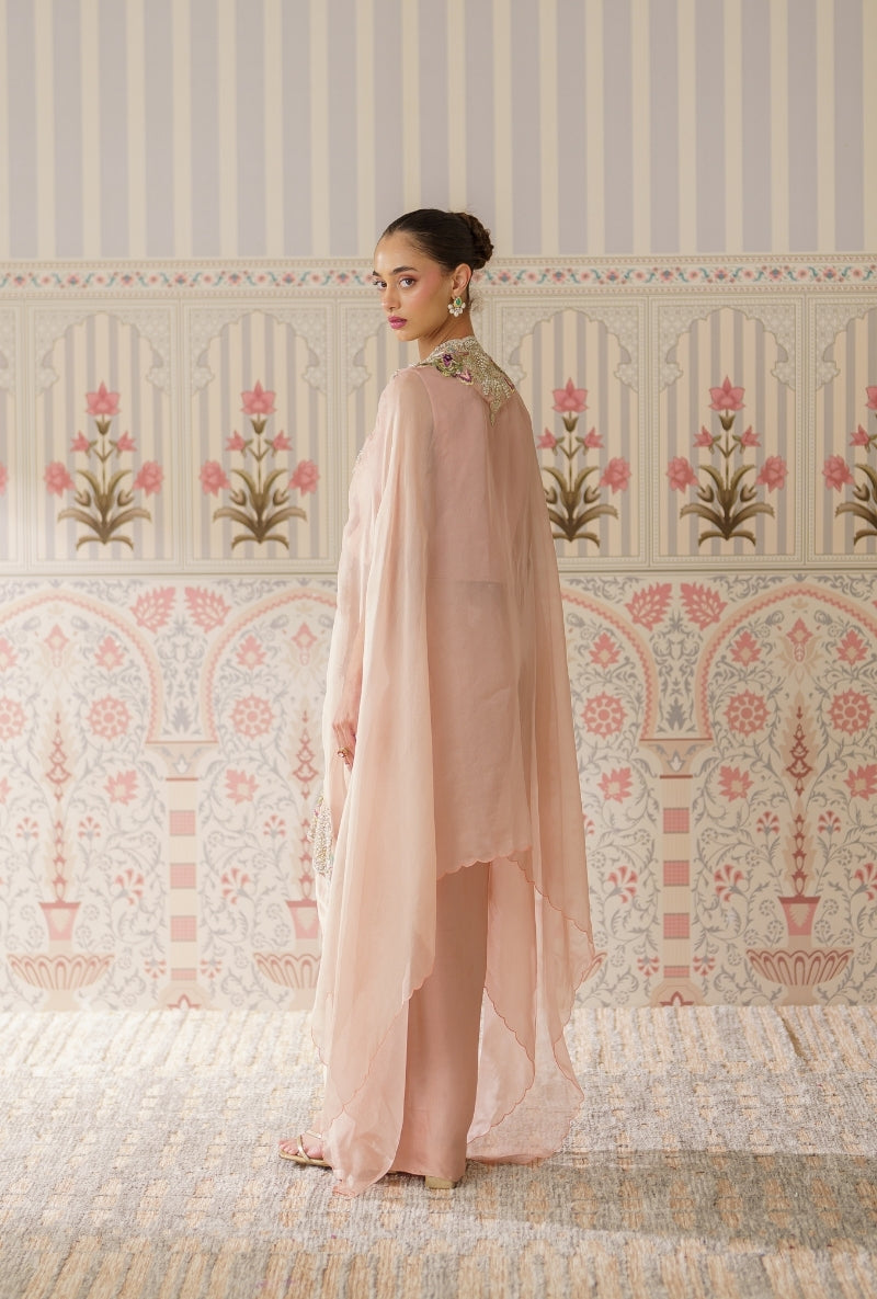 Powder Pink Pearl And Resham Mallika Cape Set