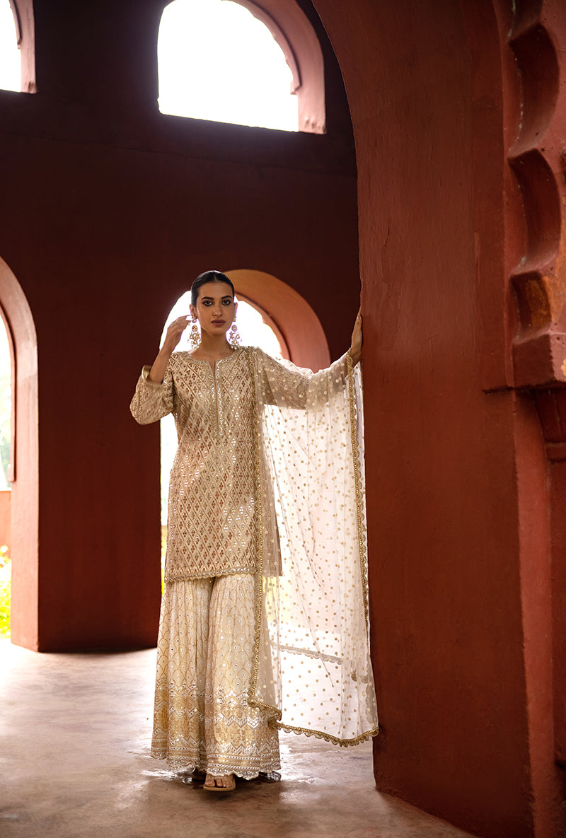 Ivory Sequin And Jaal Hoor 3.0 Gharara Set