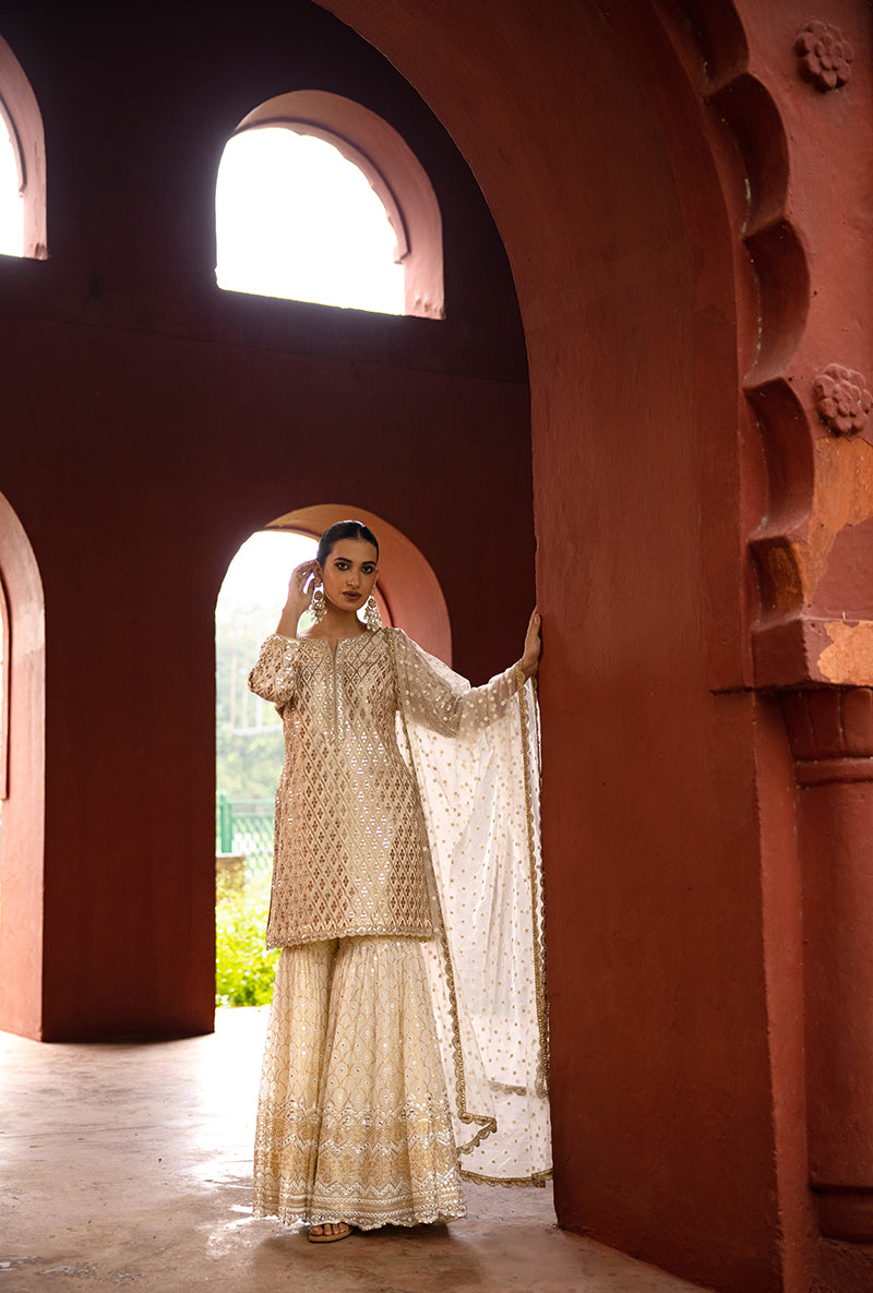 Ivory Sequin And Jaal Hoor 3.0 Gharara Set