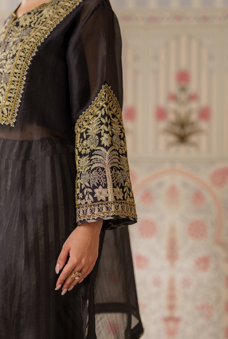 Black Dori and Sequin Hand Embroidery Mallika Farshi Set