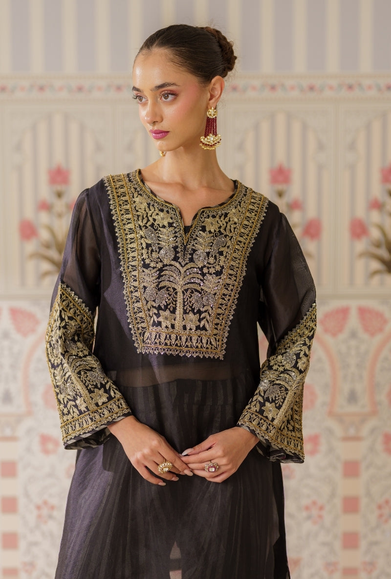 Black Dori and Sequin Hand Embroidery Mallika Farshi Set