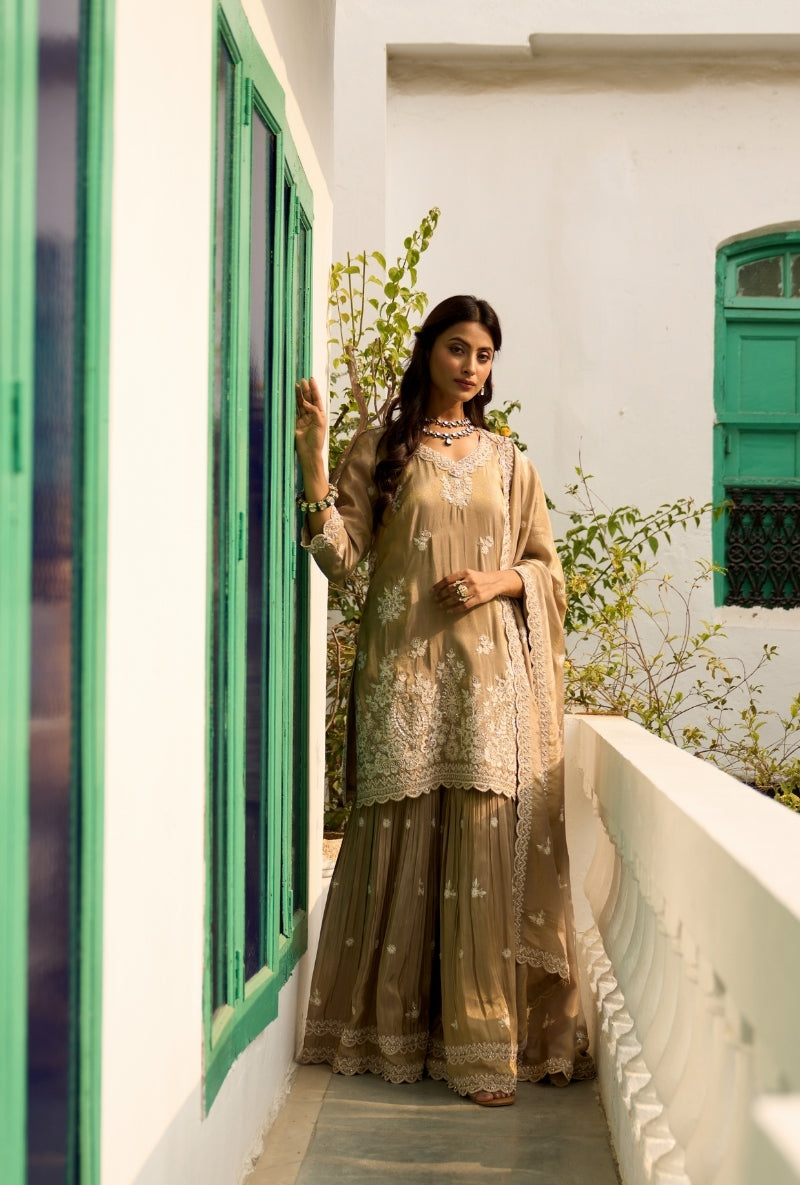 Mouse Beige Pearl Embroidery Nadira Sharara Set