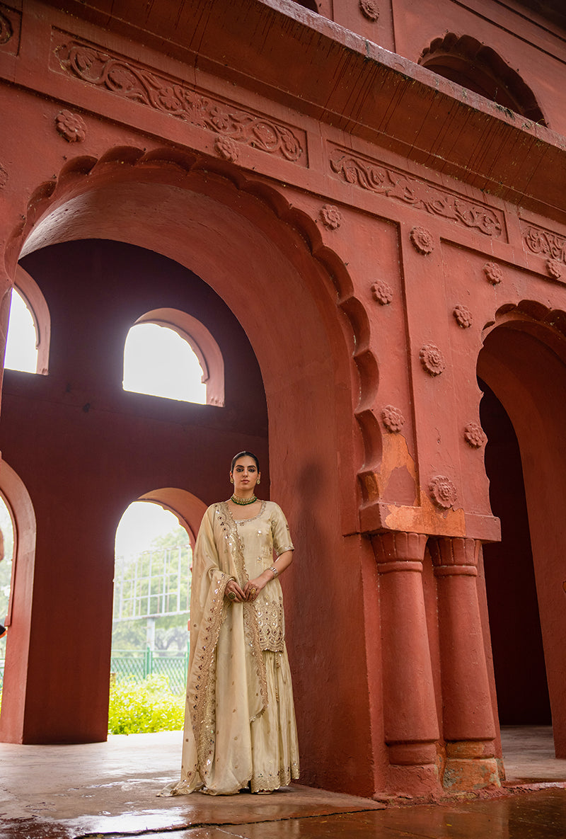 Beige Zari And Mirror Tissue Hoor 3.0 Gharara Set