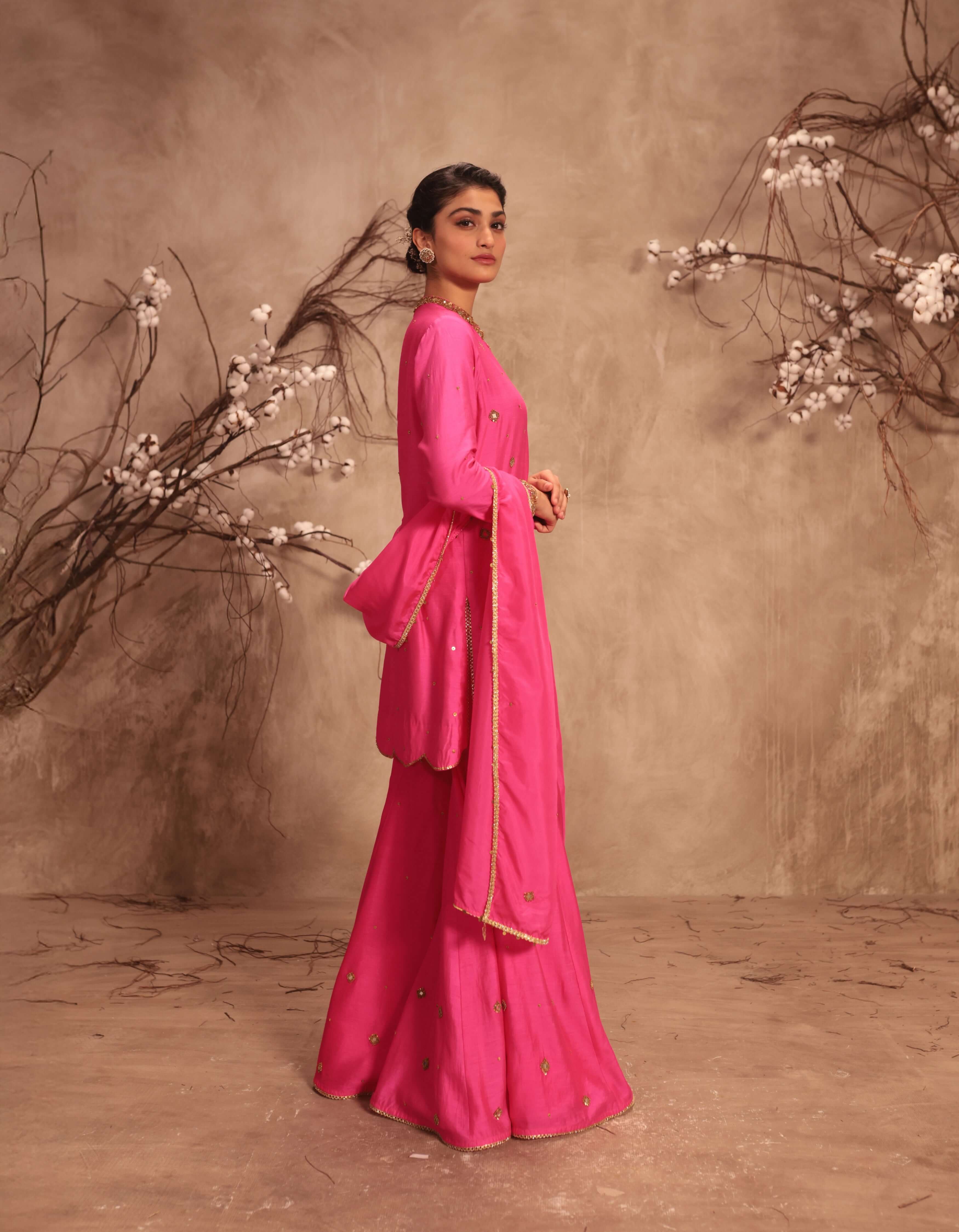 Hot Pink Mirror Work Rani Sharara Set
