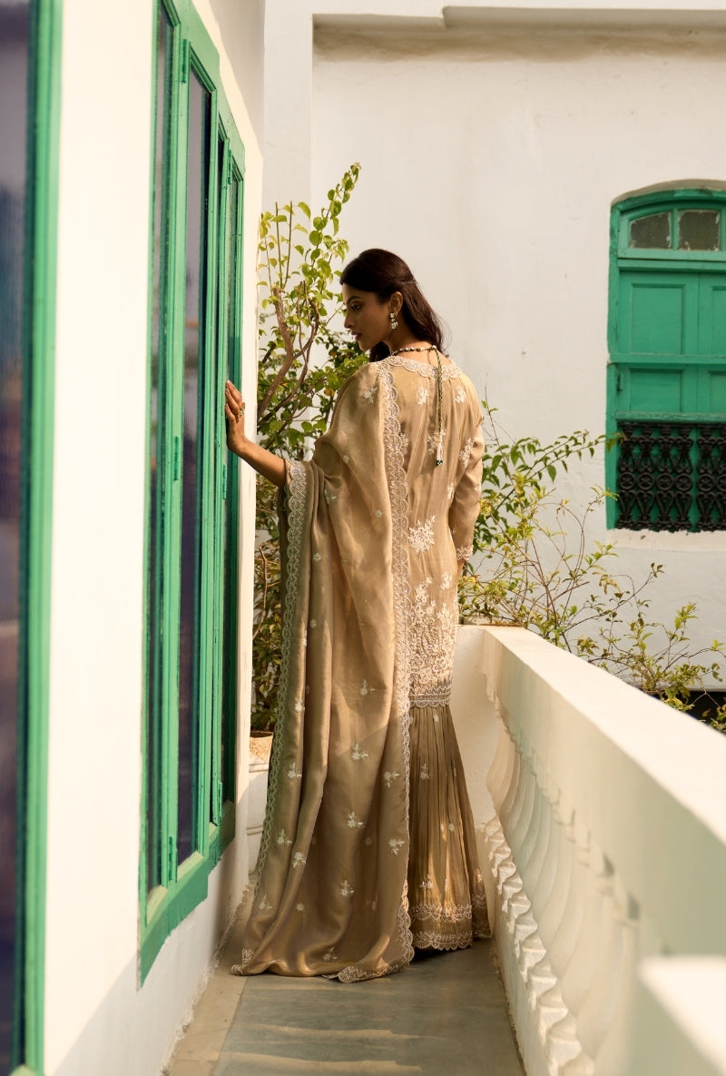 Mouse Beige Pearl Embroidery Nadira Sharara Set