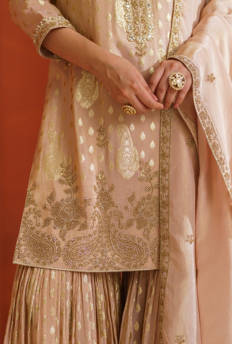 Light Pink  Banarsi Vira Gharara Set