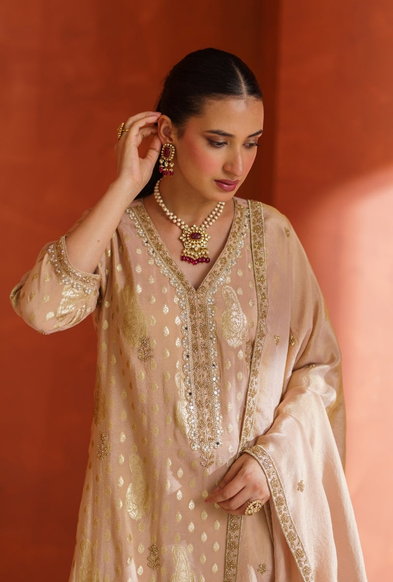 Light Pink  Banarsi Vira Gharara Set