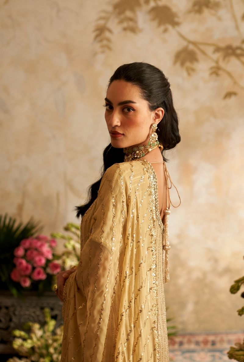 Beige Stripes Sequin Rumi Gharara Set