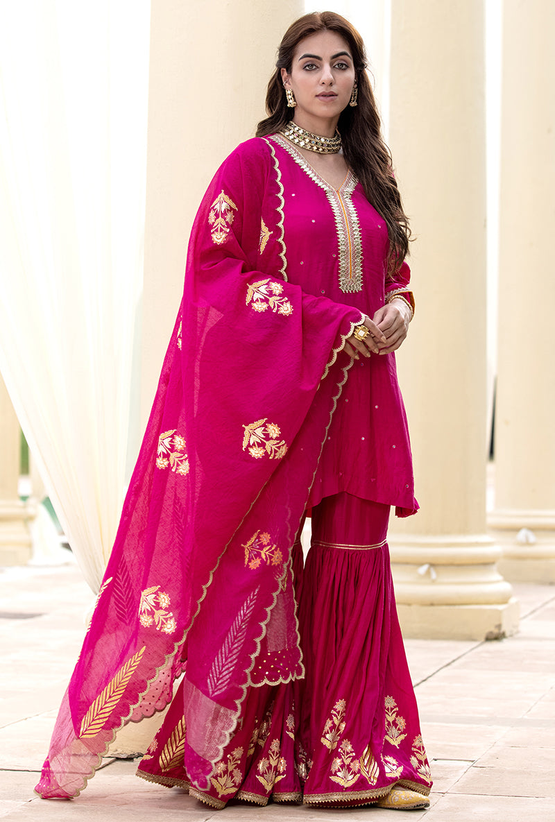 Rani Pink Haseena Gharara Set