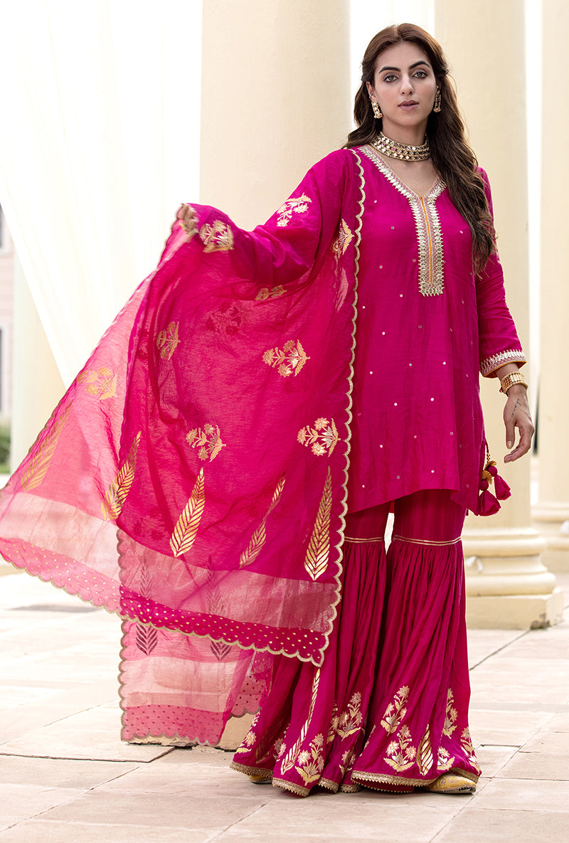 Rani Pink Haseena Gharara Set