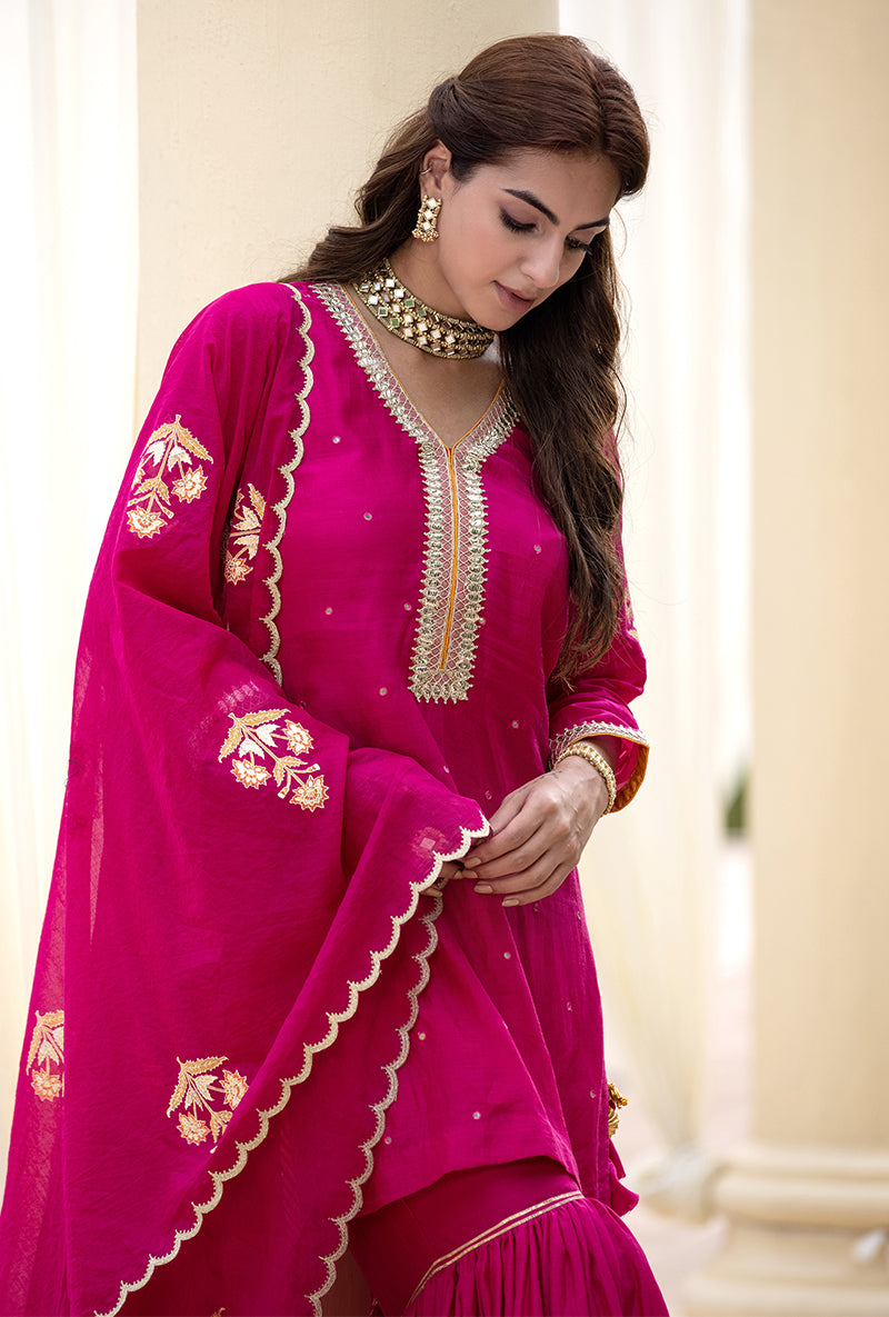 Rani Pink Haseena Gharara Set