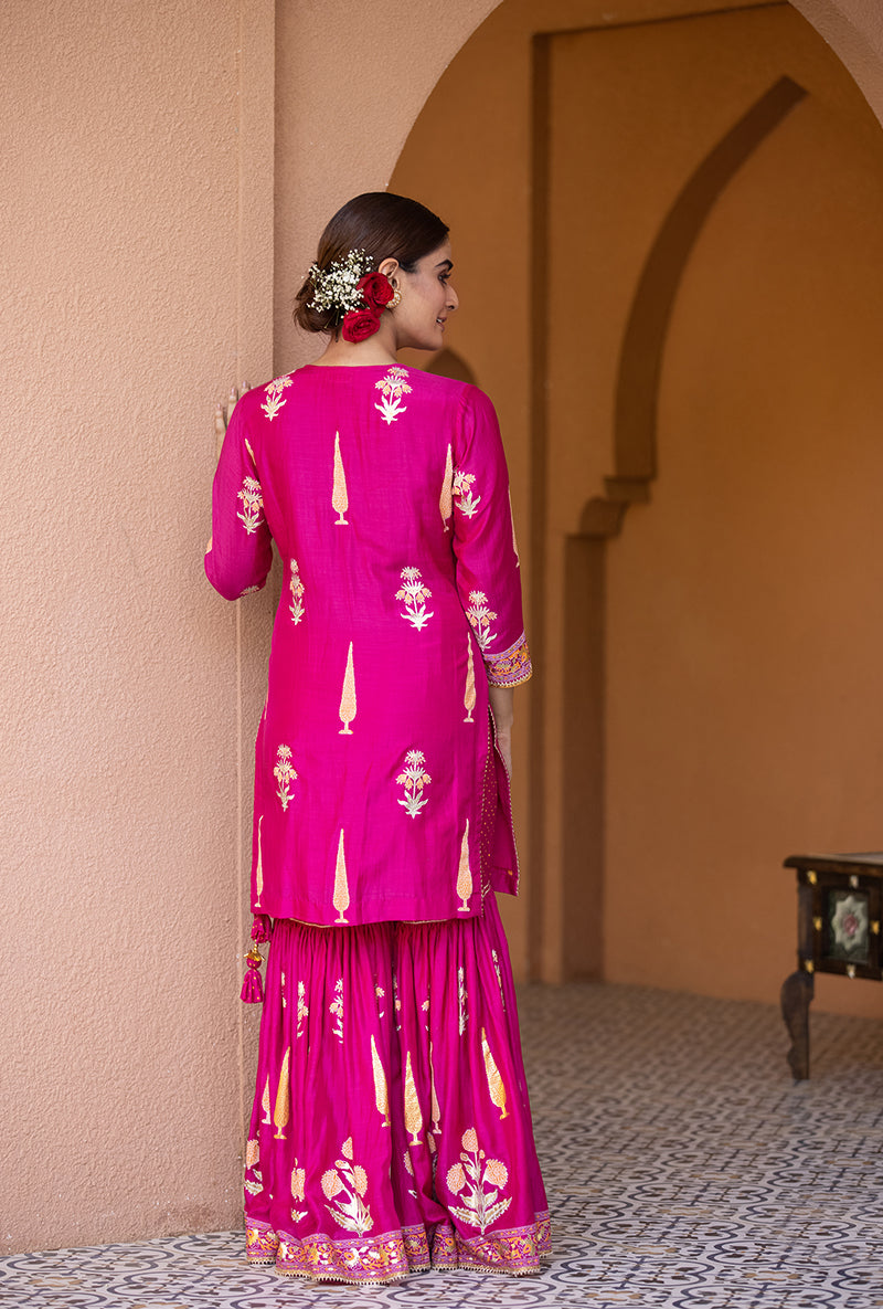 Rani Pink Nayaab Gharara Set