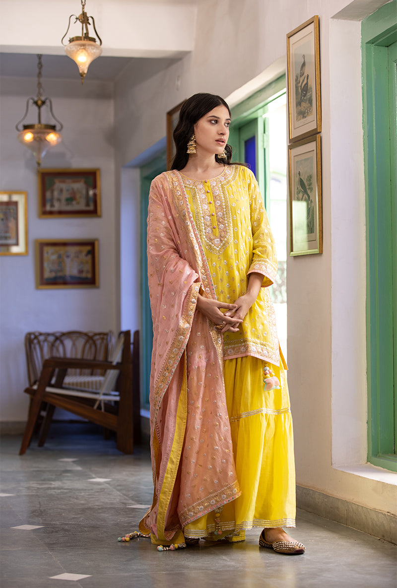 Pink And Yellow Zari Mastaani Gharara Set