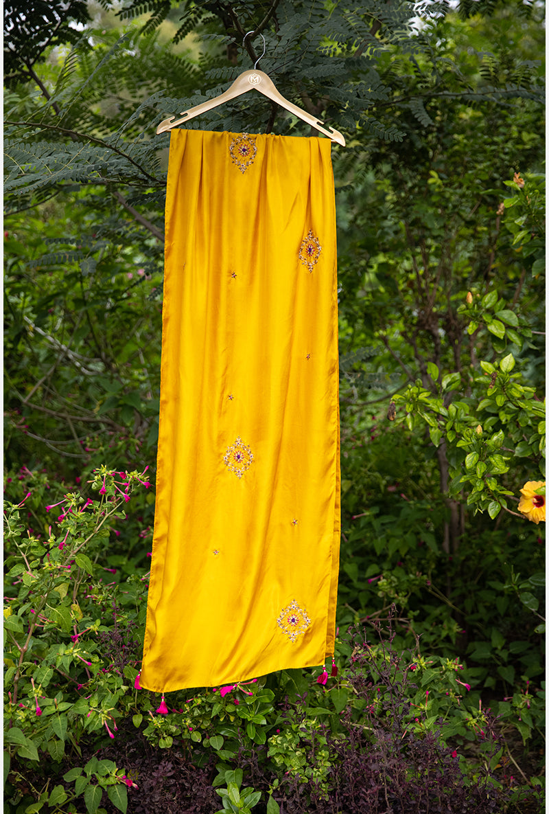 Fuschia Zardozi Sitara Husna Kurta Set