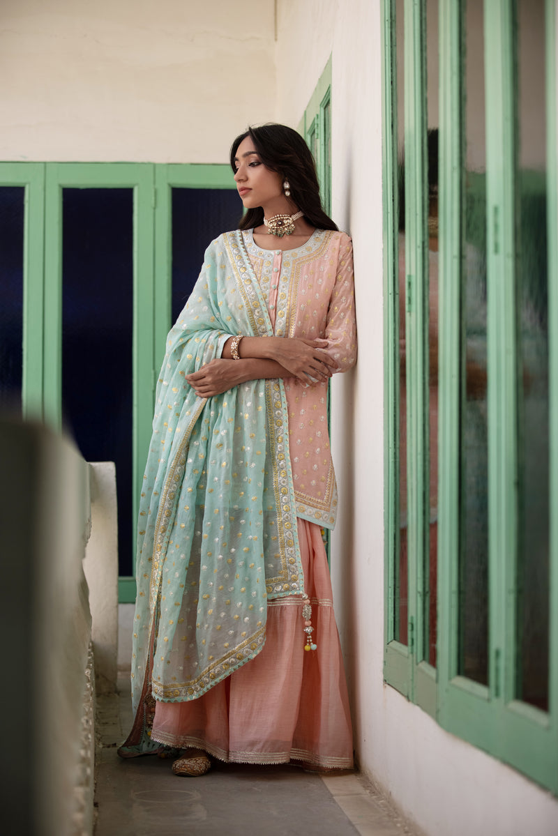 Pink And Aqua Zari Mastaani Gharara Set