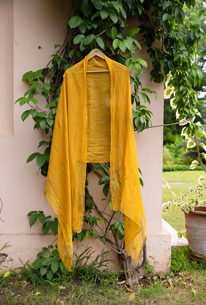Mustard Applique Pleated Yoke Baano Kurta Set