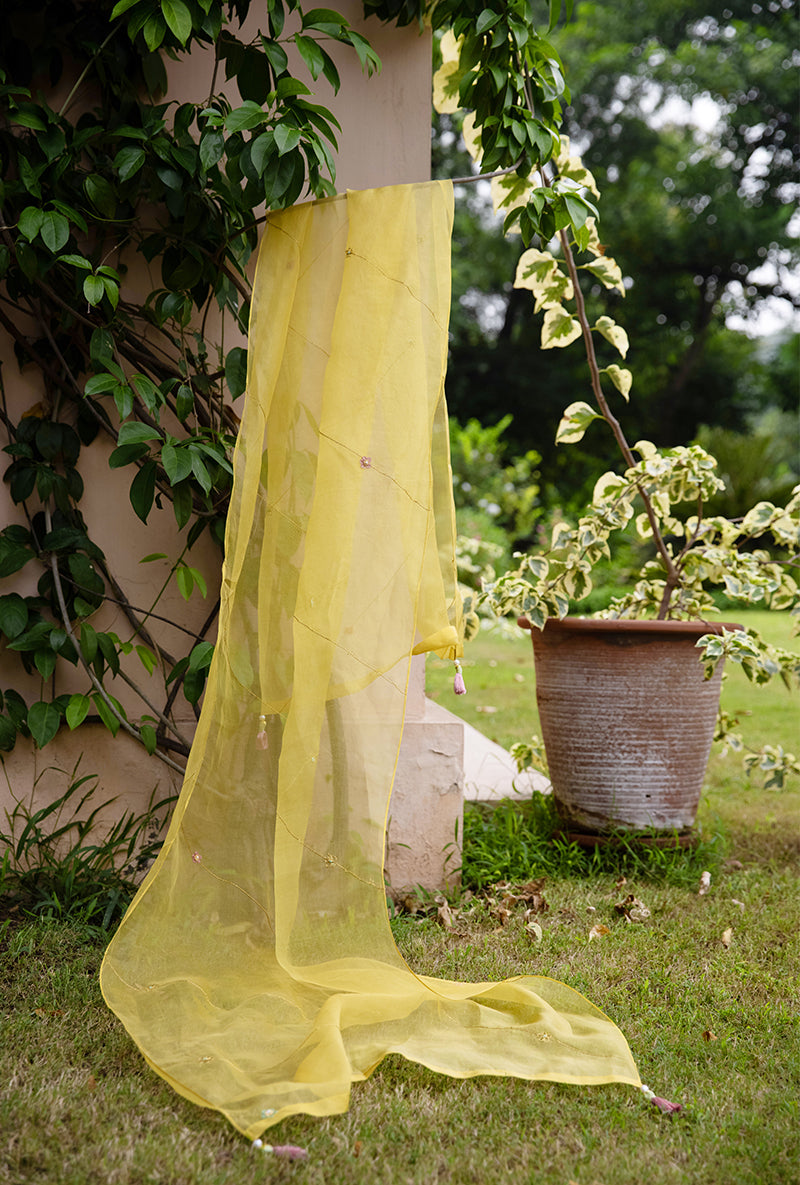 Yellow Applique Heavy  Baano Kurta Set